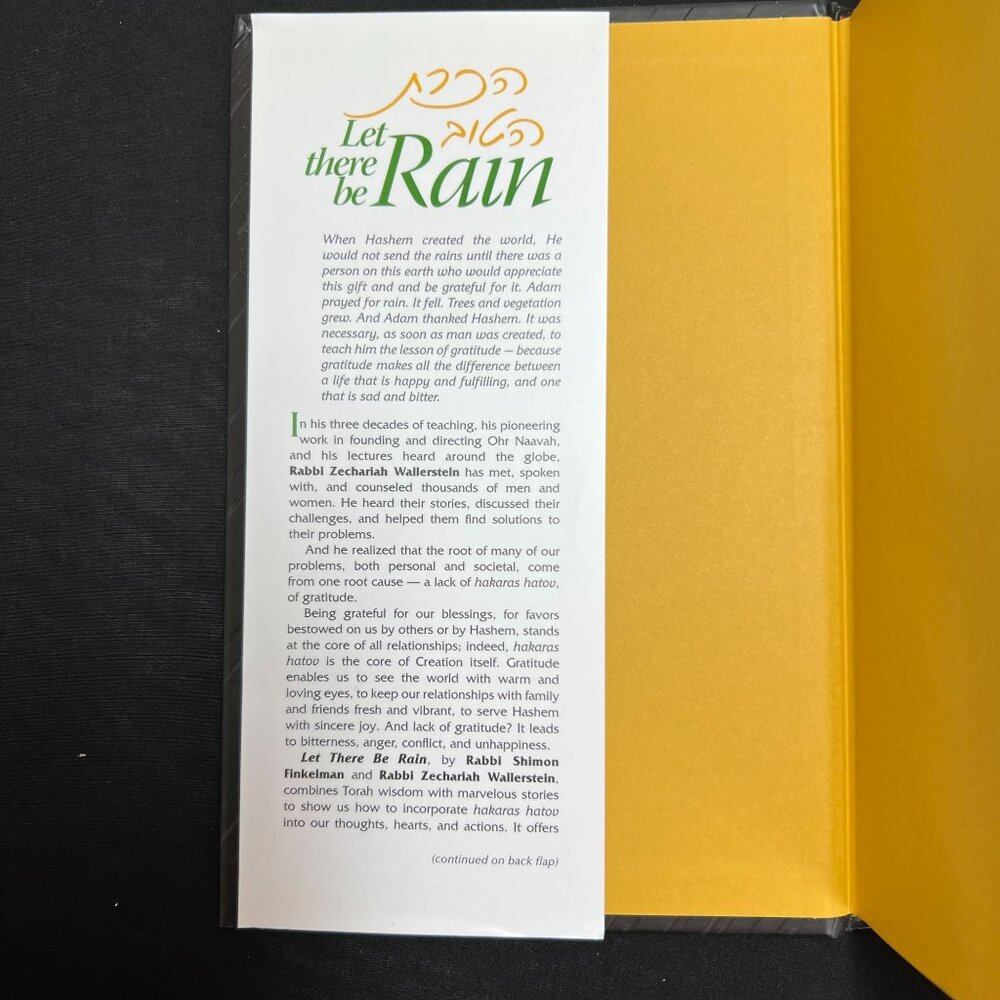 Let There Be Rain A Lesson A Day On Making Gratitude A Part Of Our Lives - Picture 9 of 10